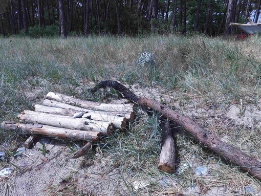 So bitte nicht! Feuermachen ist am Palmer Ort nicht gestattet. Foto: Michael Succow Stiftung