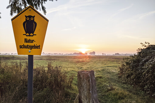 Karrendorfer Wiesen im Frühjahr Foto: Lene Schwarz