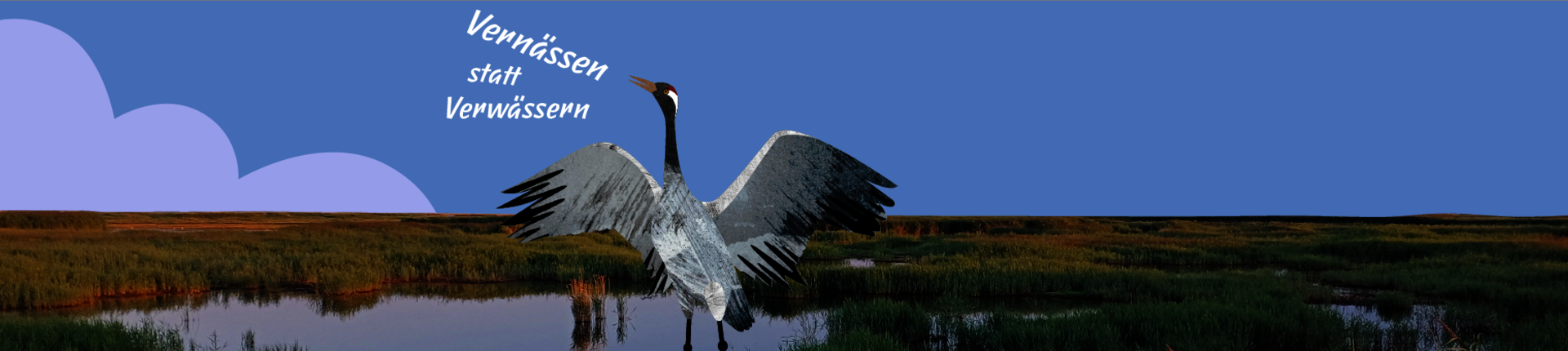 Banner Moorlandschaft mit Kranich und Spruch "Vernässen statt verwässern"