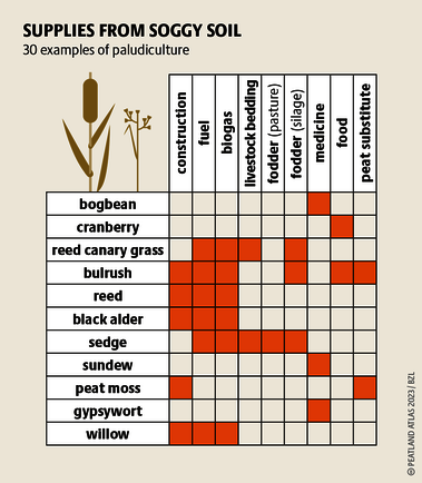 Examples of the variety of paludiculture species with special economic interest. The bogbean for example can be used to treat liver problems. Source: Peatland atlas Böll/BUND/Succow-Stiftung