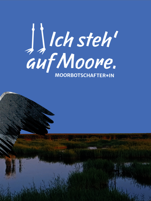 Illustration: Igel + Ente