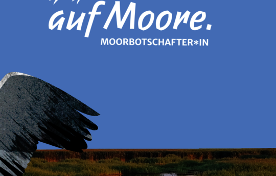 Illustration: Igel + Ente