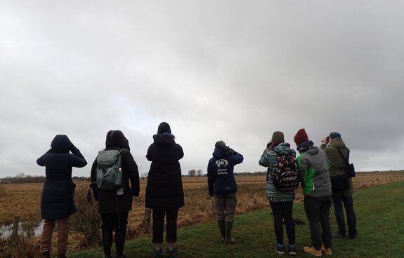 Geführte Exkursion in den Karrendorfer Wiesen