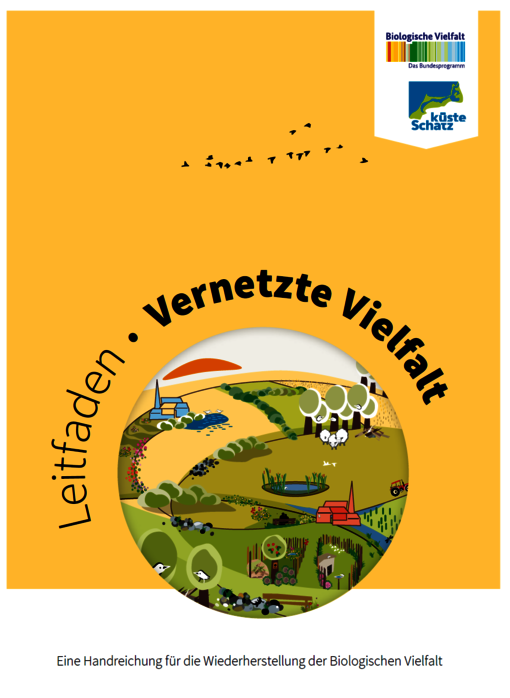 Cover Leitfaden Vernetzte Vielfalt - Eine Handreichung für die Wiederherstellung der Biologischen Vielfalt