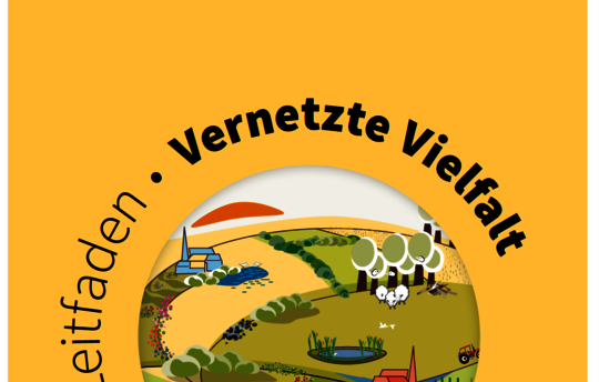 Cover Leitfaden Vernetzte Vielfalt - Eine Handreichung für die Wiederherstellung der Biologischen Vielfalt