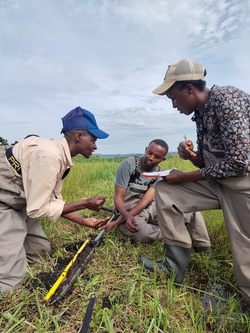Team von Stylos Consult bei einer Torfbohrung und Profilbeschreibung während der Ground-Truthing-Schulung im Rucahabi-Moor, Ntarama, Ruanda (Foto: Michael Succow Stiftung / S. Elshehawi) 