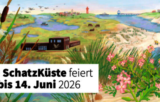 Grafik: Lea Berndorfer