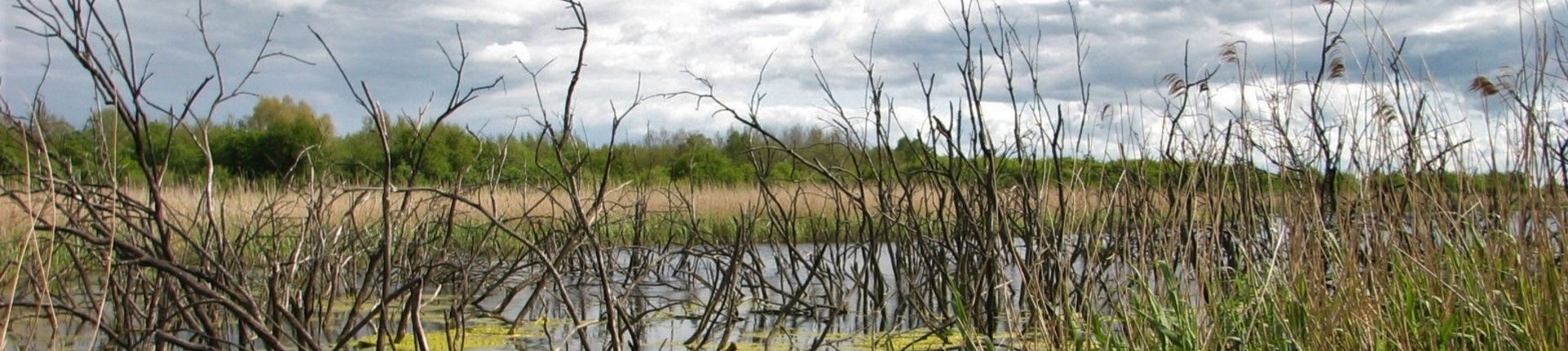 Nature park "Vishtynetsky" (Photo: Svetlana Matskova)