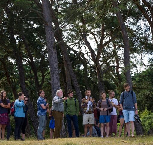 Archiv (c) www.succownauten.de 