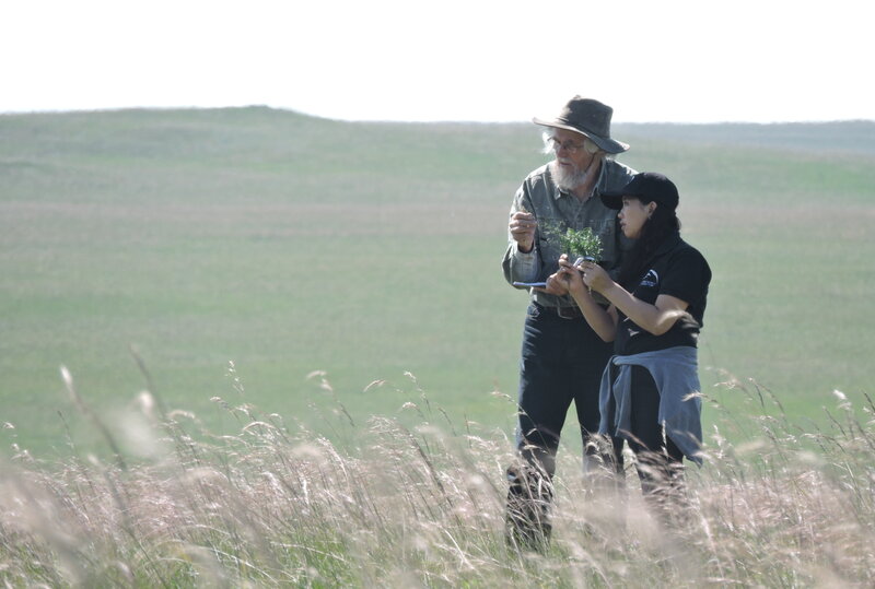 Deputy Chairman of the Foundation board Prof. Dr. Hans Dieter Knapp with MBCC staff and Eva Kleinn scholarship holder Sarangerel Ichinkhorloo in Mongolia during botanical field studies. Photo: M. Succow