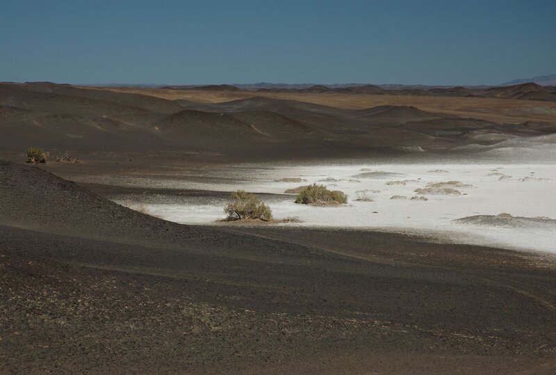 Great Gobi Photo: Dr. Petra Kacenzsky