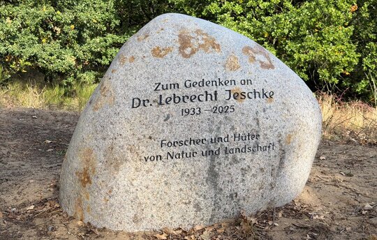 Ein Gedenkstein für Dr. Lebrecht Jeschke. Foto: Hannes Knapp