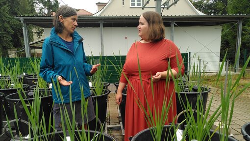 Zu Besuch: MdB Ricarda Lang Zu Besuch: MdB Ricarda Lang