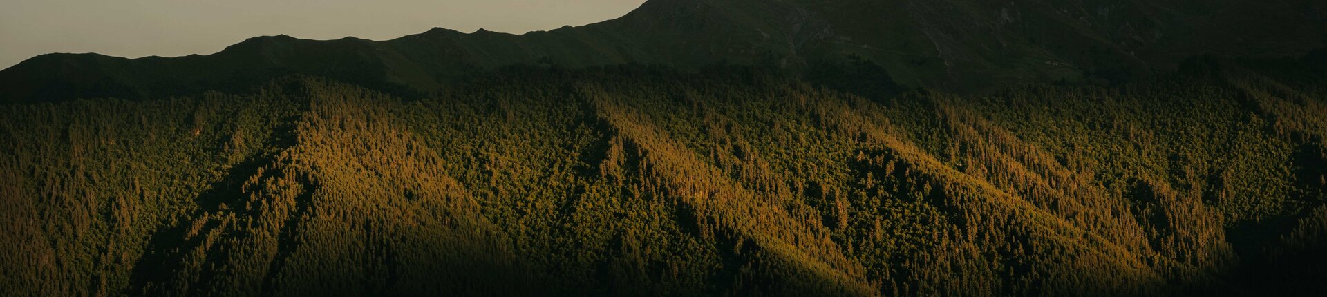 Tusheti Photo: Agency of Protected Areas