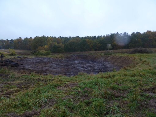 ‚Soll 2‘ nach Abschluss der Maßnahme – Gehölze entfernt und die Senke ausgebaggert, sodass sich bei ausreichendem Niederschlag wieder Flachwasserzonen für Amphibien bilden können.  © S. Volk / Michael Succow Stiftung