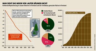 Ein Viertel Finnlands bedecken die häufig in Waldgebieten liegenden Moore. In manchen finnischen Regionen wurden Moore bis zu 90 Prozent zerstört. Quelle: Mooratlas Böll/BUND/Succow-Stiftung