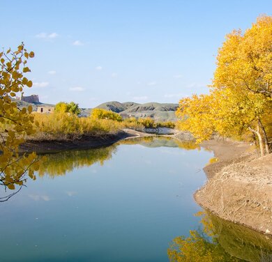 Lower Amudarya Biosphere Reserve (c) Ernest Kurtveliev