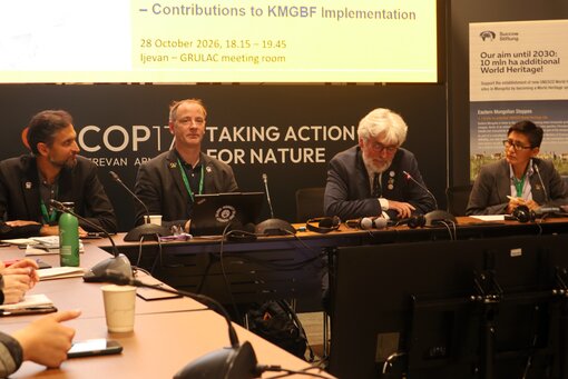 Side Event auf der CBD COP17: Weltnaturerbe als Instrument für den globalen Biodiversitätsschutz. Foto: N. Malazonia & J. Wunderlich / Michael Succow Stiftung