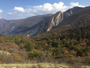 Hyrcanian virgin forest in Jahan Nama. (Foto: Prof. Dr. Hans-Dieter Knapp) 