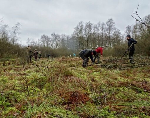 Mitmachaktionen im Mannhagener Moor sind regelmäßige Ehrenamtseinsätze. Hier ist die Stiftung auf Unterstützung durch motivierte Ehrenamtliche angewiesen. Foto: Michael Succow Stiftung