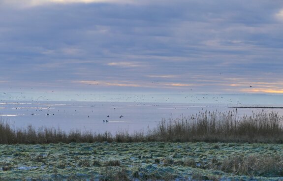 Winterliche Exkursion in die Karrendorfer Wiesen