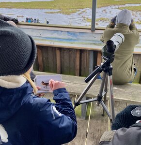 Vögel beobachten auf der Aussichtsplattform in den Karrendorfer Wiesen.