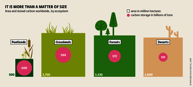 Peatlands cover only a small portion of the earth, but they store more carbon than any terrestrial ecosystem. Source: Mooratlas Böll/BUND/Succow-Stiftung