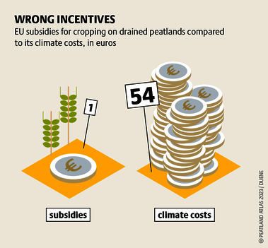 Europe’s agriculture policies continue to favour climate-harming farming methods. Protecting peatland would be a better economic option. Source: Peatland atlas Böll/BUND/Succow-Stiftung