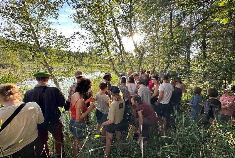 Inspiriert durch die Natur Foto: Benjamin Brockhaus