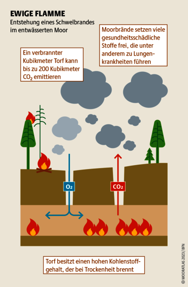 Ursache für Moorbrände sind oft Brandrodungen, die Platz für Forst und Industrie schaffen sollen. Quelle: Mooratlas Böll/BUND/Succow-Stiftung