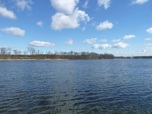Der Polsensee im Bollwintal. Foto: C. Barnick/ Michael Succow Stiftung