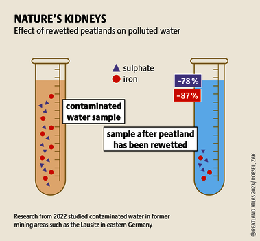 Source: Peatland atlas Böll/BUND/Succow-Stiftung