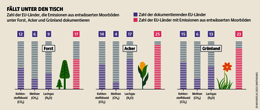 Viele Staaten beteiligen sich nicht an der EU-weiten Dokumentation von Mooremissionen. Oft fehlen ihnen dazu Daten und Wissen. Quelle: Mooratlas Böll/BUND/Succow-Stiftung