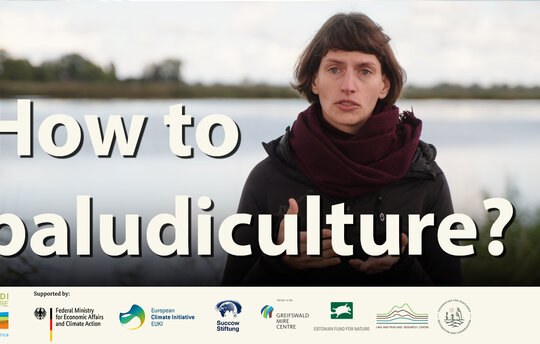 How to paludiculture? (Bild: biofilm)