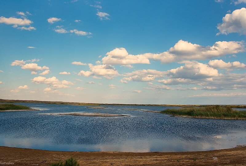 Photo: E. Kurtveliev