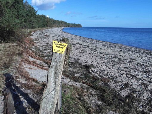 Der Küstendünenwall, Lebensraum für verschiedene seltengewordene Pflanzen und Tiere, wurde überflutet und durch Wind und Wasserbewegung beinah gänzlich abgetragen. Foto: D. Schacht/ Michael Succow Stiftung