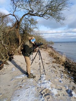 Mittwinterzählung Insel Koos (c) MSS