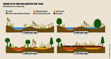 In Europe, peatlands are relicts of the last Ice Age. They formed in locations with excess water from melting glaciers. Source: Peatland atlas Böll/BUND/Succow-Stiftung