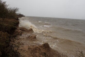 Hochwasser Insel Koos (c) Johanna Weisgerber