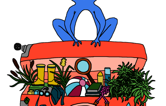 Vollgepackter Ferienmoorkoffer, Logo © Theophila Herbey