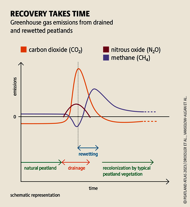 Greenhouse gases prevent solar energy from being retransmitted into space – thereby heating the Earth up. Source: Peatland atlas Böll/BUND/Succow-Stiftung