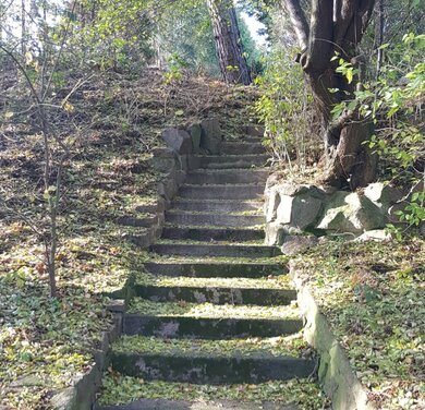 Treppe auf dem Grundstück Olaf Böhmes