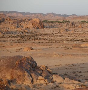 Die Gobi – Landschaften in denen Pflanzen und Tieren enorme Anpassungsleistungen vollbringen, um unter harschen und kargen Bedingungen existieren zu können. Foto: J. Wunderlich/ Michael Succow Stiftung