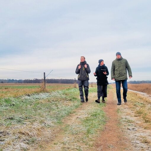 Moor beim Spaziergang entdecken (Foto: L. Schmidt)