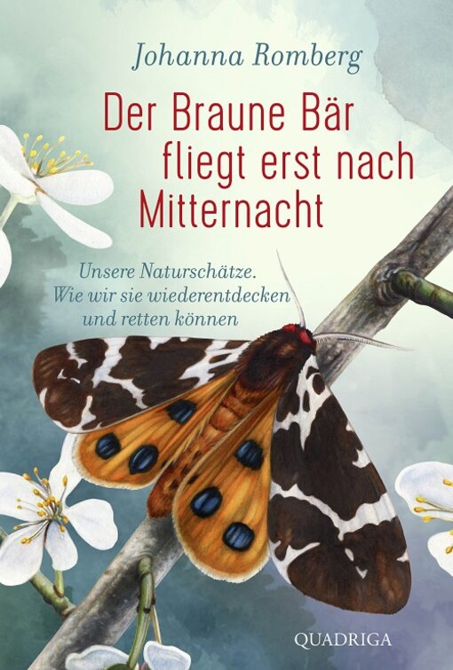 [Translate to EN:] Cover "Der Braune Bär fliegt erst um Mitternacht" (mit freundlicher Genehmigung des Lübbe-Verlags)