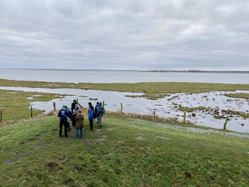 Natürlicher Klimaschutz - z.B. das restaurierte Küstenüberflutungsmoor Karrendorfer Wiesen bei Greifswald (Foto: S. Kagemann)