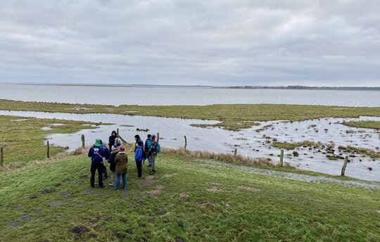 [Translate to EN:] Natürlicher Klimaschutz - z.B. das restaurierte Küstenüberflutungsmoor Karrendorfer Wiesen bei Greifswald (Foto: S. Kagemann)