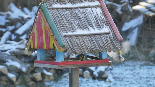 Vogelhausbeobachtung zur Stunde der Wintervögel auf der Insel Koos Foto: Michael Succow Stiftung