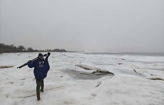 Geführte Exkursion in den Karrendorfer Wiesen