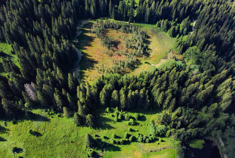 © Bulgarian Biodiversity Foundation (BBF)